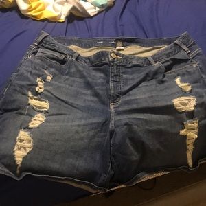 Lane Bryant distressed plus size jean shorts